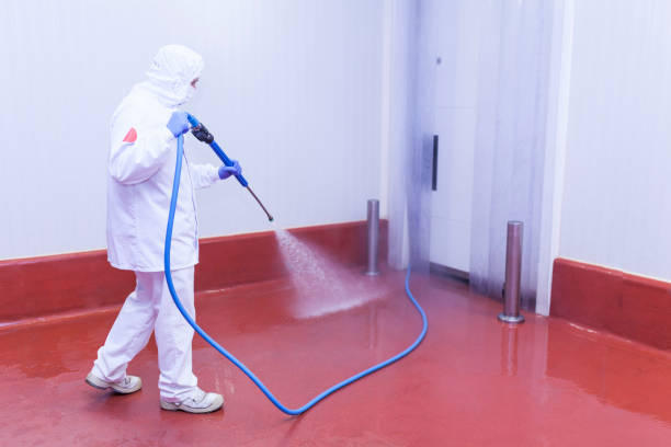 Best Pre-Holiday Cleaning  in Carnegie, OK